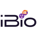 iBio